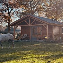 Rustic cottage in Ledeacker, Northeast Brabant, surrounded by nature with grazing horse in the foreground, perfect for a relaxing stay.