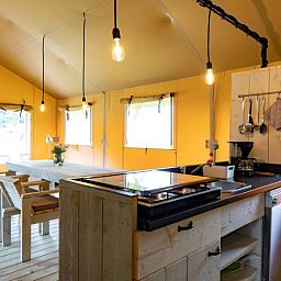 Unterkunft 440922 - Zelthaus West Brabant - De Lodge