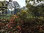 Guest house 442607 • Holiday property West Brabant • Huisje in Rijsbergen  • 9 of 20