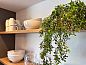 Guest house 442615 • Holiday property West Brabant • De Stal  • 11 of 26