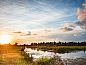 Guest house 443205 • Holiday property West Brabant • Huisje in Werkendam  • 9 of 9