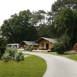 Verblijf 443603 - Tenthuis West Brabant - Safaritent