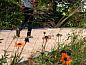 Guest house 443701 • Holiday property West Brabant • Vakantiehuis in Zegge  • 13 of 20