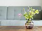 Guest house 443809 • Holiday property West Brabant • Huisje in Ulvenhout AC  • 11 of 26