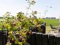 Guest house 443916 • Holiday property West Brabant • Huisje in Genderen  • 3 of 26
