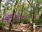 Guest house 444004 • Holiday property West Brabant • Vakantiehuis in Schijf  • 4 of 17