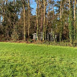 Green surroundings of Huisje in Schijf, vacation home in wooded North Brabant.