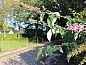 Guest house 444008 • Holiday property West Brabant • Vakantiehuis in Schijf  • 3 of 23