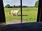 Guest house 444009 • Holiday property West Brabant • Huisje in Schijf  • 3 of 13