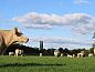 Guest house 444009 • Holiday property West Brabant • Huisje in Schijf  • 12 of 13
