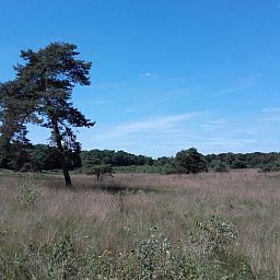 Guest house 444402 - Holiday property West Brabant - Vakantiehuis in Strijbeek