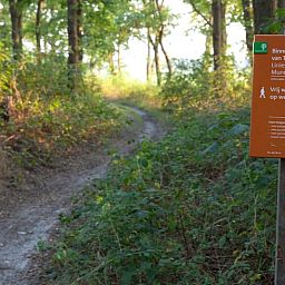 Naturpfade in der Naehe Ferienhaus in Terheijden, Nordbrabant, ideal fuer Naturliebhaber.