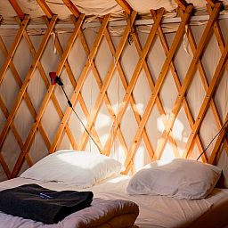 Unterkunft 444807 - Ferienhaus West Brabant - Yurt