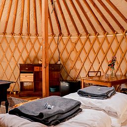 Unterkunft 444807 - Ferienhaus West Brabant - Yurt