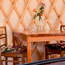 Unterkunft 444807 - Ferienhaus West Brabant - Yurt