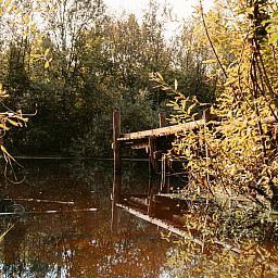 Unterkunft 444807 - Ferienhaus West Brabant - Yurt