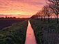 Guest house 445601 • Holiday property West Brabant • Vakantiehuisje in Klundert  • 10 of 19