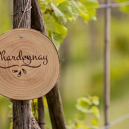 Chardonnay sign in the vineyard surroundings of Holiday home in Fijnaart, West Brabant.