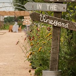 Romantic walking tour in the vineyard near Holiday home in Fijnaart, North Brabant.