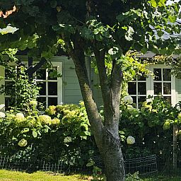 Unterkunft 4502108 - Ferienhaus Noordzeekust - NH580