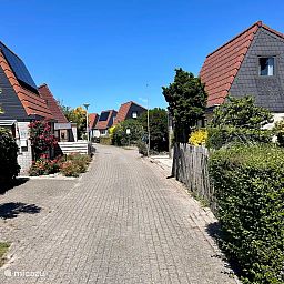 Unterkunft 450231 - Ferienhaus Noordzeekust - Vakantiehuis Tulpenzicht