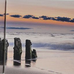 Unterkunft 4503153 - Ferienhaus Noordzeekust - Vakantiehuis Sommerhaus "De Zeester"