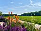 Verblijf 4504125 • Vakantiewoning Noordzeekust • Vakantiehuis in Callantsoog  • 9 van 26