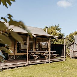 Unterkunft 4504232 - Ferienhaus Noordzeekust - Wood Lodge