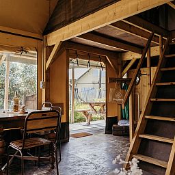 Unterkunft 4504312 - Ferienhaus Noordzeekust - Beach Lodge