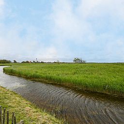 Unterkunft 4504366 - Ferienhaus Noordzeekust - Vrijstaande woning in Callantsoog