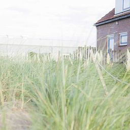 Aussenbereich des Ferienhauses in Callantsoog, Nordseekueste, Nordholland, umgeben von Duenengras.