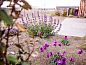 Guest house 450477 • Holiday property Noordzeekust • Vakantiehuisje in Callantsoog  • 2 of 25