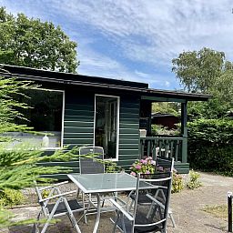 Unterkunft 4506166 - Ferienhaus Noordzeekust - Campanula 173