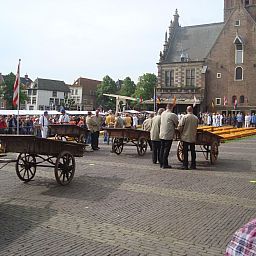 Verblijf 450706 - Appartement Noordzeekust - Appartement mit Terrasse