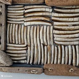Unterkunft 450738 - Ferienhaus Noordzeekust - De Zeebries