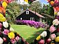 Guest house 451207 • Holiday property Noordzeekust • Vakantiehuis in Egmond aan den Hoef  • 7 of 26