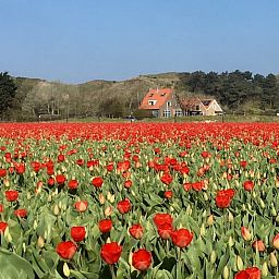 Unterkunft 451246 - Ferienhaus Noordzeekust - Vakantiehuisje in Egmond aan den Hoef