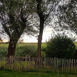 Unterkunft 452017 - Ferienhaus Noordzeekust - Vogelvrij 5