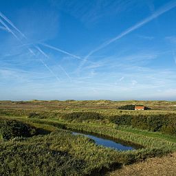 Guest house 452719 - Holiday property Noordzeekust - Duinerei C301/C302 | Sauna | 8 Pers