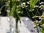 Guest house 453046 • Holiday property Noordzeekust • Huisje in BERGEN  • 10 of 18