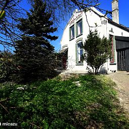 Unterkunft 453312 - Ferienhaus Noordzeekust - Villa Tusculanum: Aan de duinrand