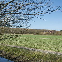 Unterkunft 4540103 - Ferienhaus Noordzeekust - Résidence Juliana 53