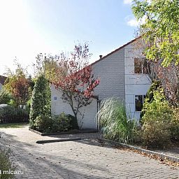 Unterkunft 4540115 - Ferienhaus Noordzeekust - Ooghduyne - Emma 6p