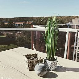 Guest house 4540184 - Apartment Noordzeekust - Windkracht 13