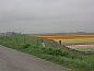 Guest house 454214 • Holiday property Noordzeekust • Vakantiehuisje in Warmenhuizen  • 14 of 26
