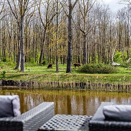 Verblijf 454926 - Vakantiewoning Noordzeekust - Vrijstaande woning in Halfweg