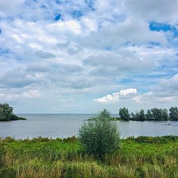 Verblijf 460124 - Vakantiewoning IJsselmeerkust - Vakantiehuis Schmuckes neuwertiges Ferienhaus  auf einer kle