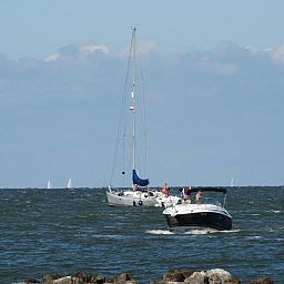 Verblijf 460124 - Vakantiewoning IJsselmeerkust - Vakantiehuis Schmuckes neuwertiges Ferienhaus  auf einer kle