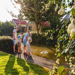 Unterkunft 460232 - Ferienhaus IJsselmeerkust - Villavakantiepark IJsselhof 6