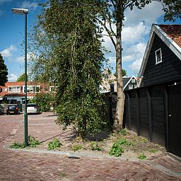 Guest house 461005 - Chalet IJsselmeerkust - Chalet Rozendaal